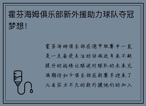 霍芬海姆俱乐部新外援助力球队夺冠梦想！