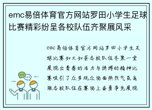 emc易倍体育官方网站罗田小学生足球比赛精彩纷呈各校队伍齐聚展风采