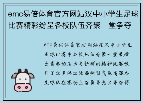 emc易倍体育官方网站汉中小学生足球比赛精彩纷呈各校队伍齐聚一堂争夺冠军荣耀