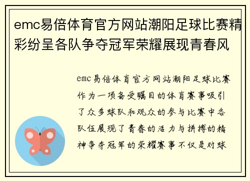 emc易倍体育官方网站潮阳足球比赛精彩纷呈各队争夺冠军荣耀展现青春风采