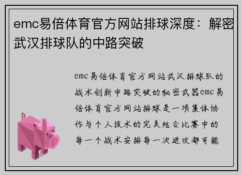 emc易倍体育官方网站排球深度：解密武汉排球队的中路突破